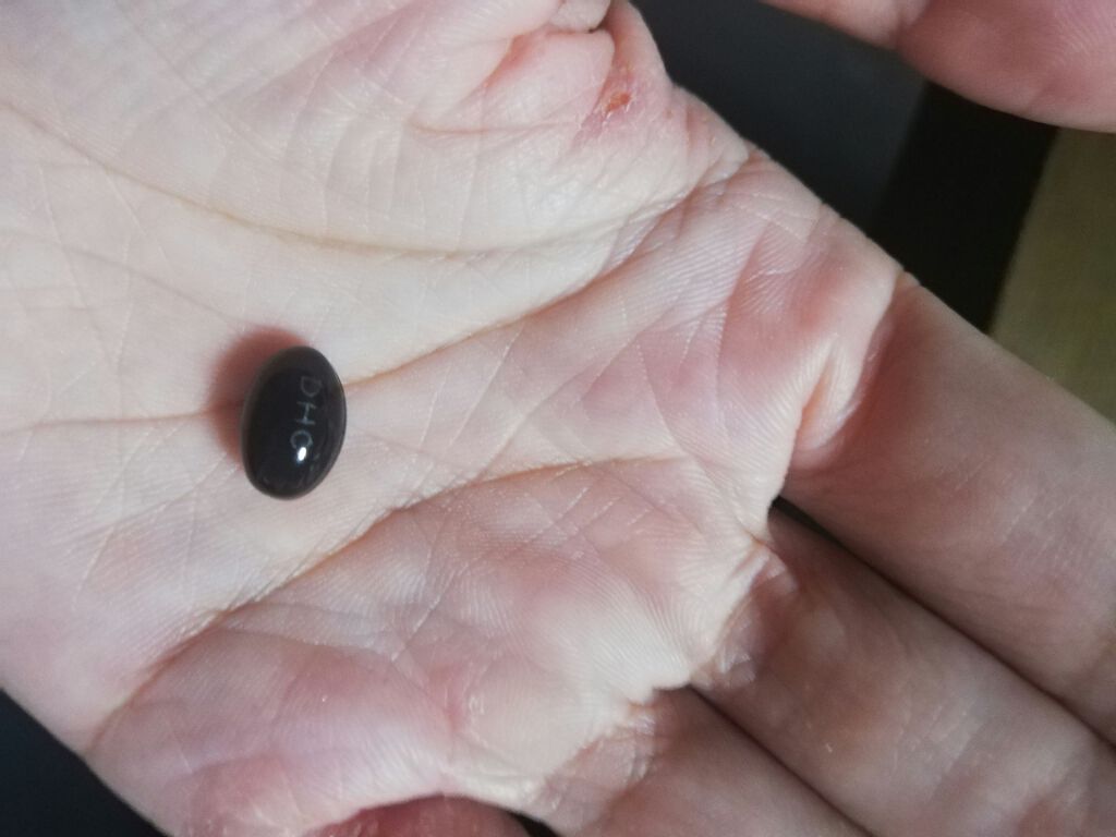 速攻ブルーベリー/DHC/健康サプリメントを使ったクチコミ(2枚目)