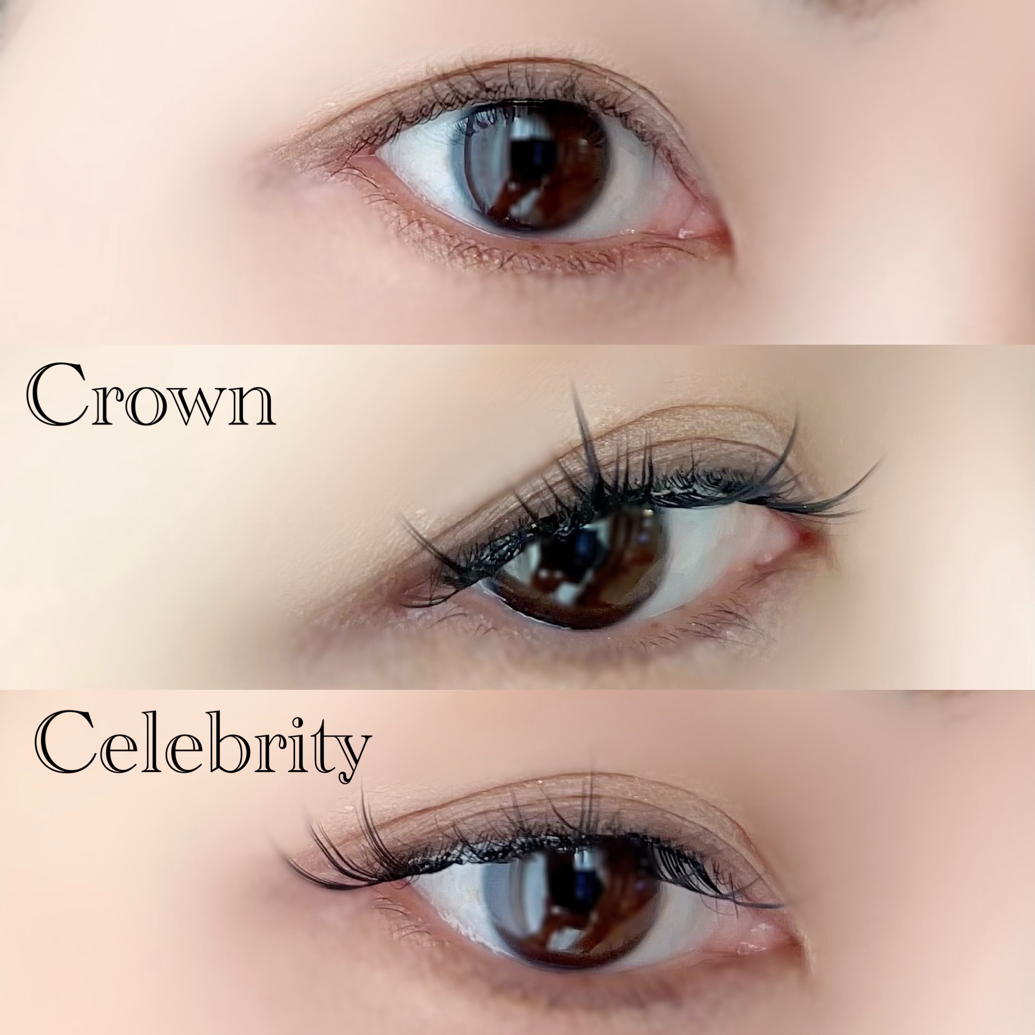 ぬーぴー様 キボ ぴぴラッシュ つけまつげ のり不要 ツケマ 7個セット 楽天市場】【NO GLUE/新品】キボぴぴラッシュ つけまのりなしで