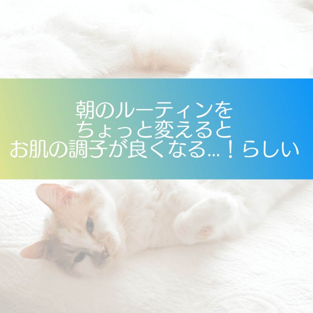 ミセラークレンジングシート セラムモイスト/ビフェスタ/クレンジングシートを使ったクチコミ（1枚目）