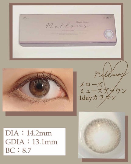 メローズワンデーミューズブラウン(Mellows 1day Muse Brown)/OLOLA/ワンデー(1DAY)カラコンを使ったクチコミ(2枚目)