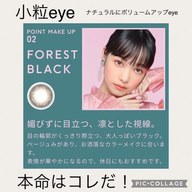 JINS1DAYCOLOR 02  FOREST BLACK(POINT MAKE UP)/JINS/ワンデー（１DAY）カラコンを使ったクチコミ（1枚目）