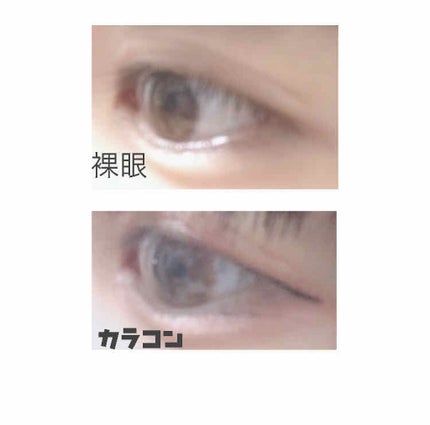 エバーカラーワンデーナチュラル モイストレーベルUV/エバーカラー/ワンデー(1DAY)カラコンを使ったクチコミ(1枚目)