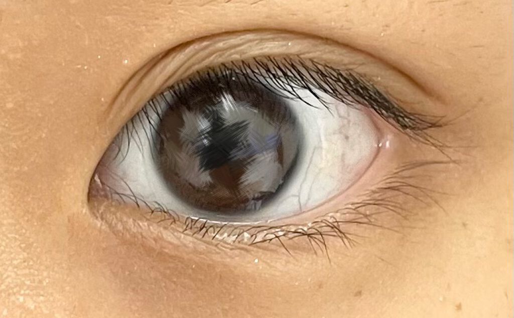 プロ アイ パレット/CLIO/アイシャドウパレットを使ったクチコミ（2枚目）