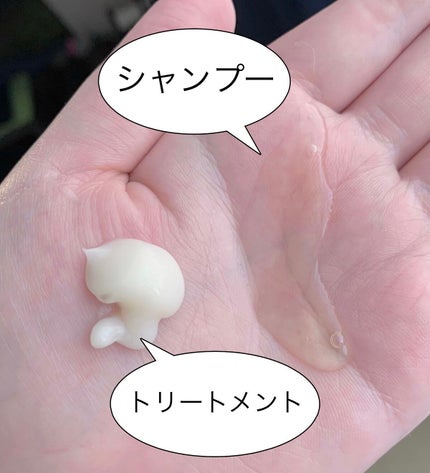 シャンプー/トリートメント SN さらさら/CLAYGE/シャンプー・コンディショナーを使ったクチコミ(2枚目)