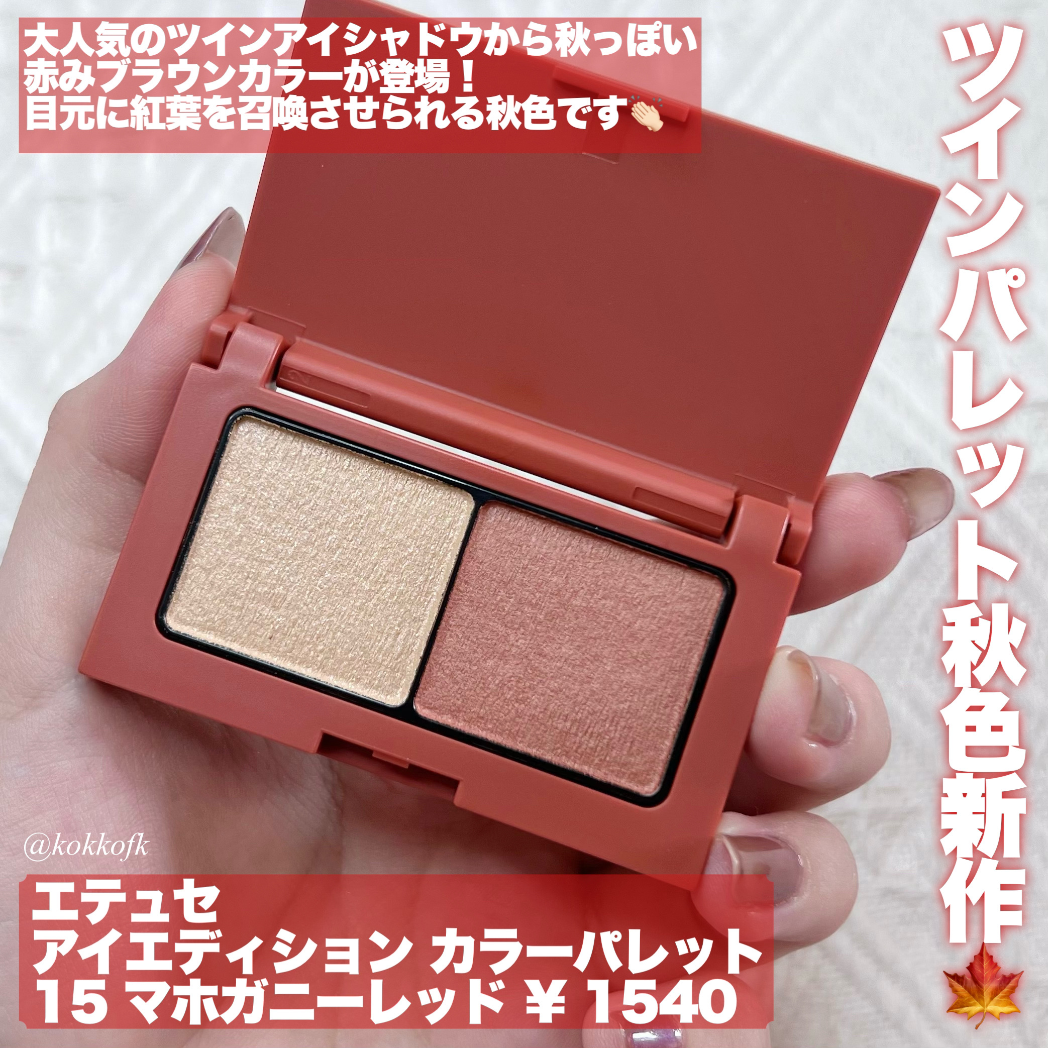 エテュセ アイエディション(カラーパレット)/ettusais/アイシャドウパレットを使ったクチコミ（2枚目）