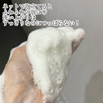 ヴィーガンパッククレンザーチューブ/WHIPPED/洗顔フォームを使ったクチコミ(3枚目)