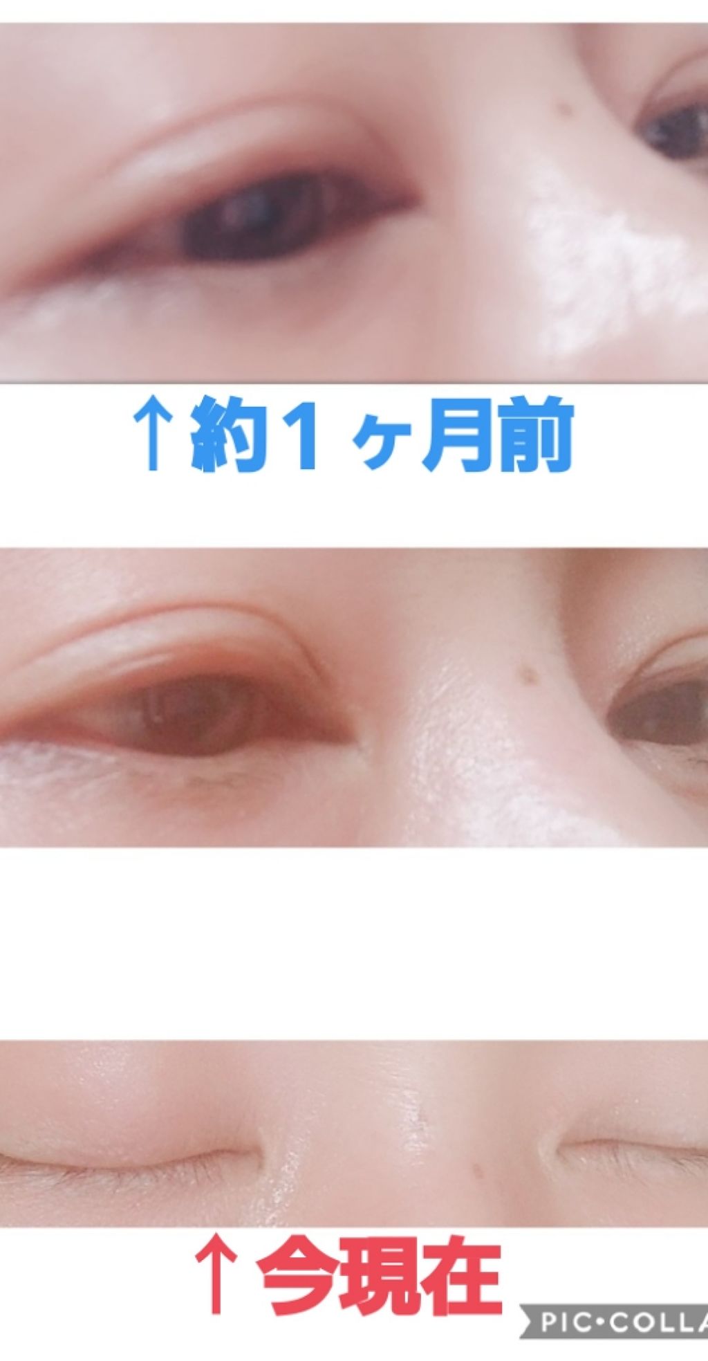 海外限定 PHOEBE アイラッシュセラム まつ毛美容液 aob.adv.br