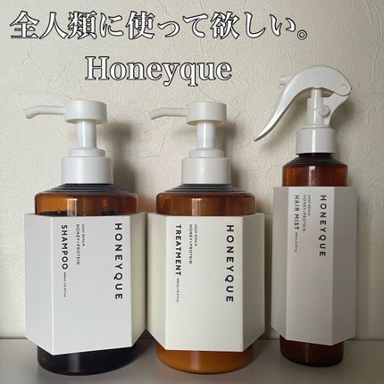 ディープリペア 2WAY ヘアミスト モイスト/ハニーク/ヘアミストを使ったクチコミ(1枚目)