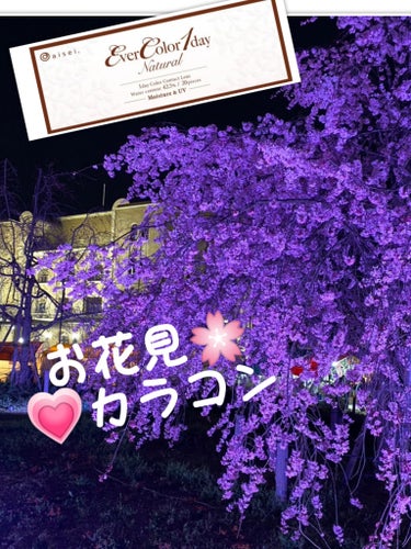 お花見🌸カラコン
🤍🤍🤍🤍🤍🤍🤍🤍
娘💗の感想
『目が  きょろっとなる  きゅるっと…』

エバーカラー
ワンデー ナチュラル
パールベージュ

 #好印象カラコン 
#娘お花見
#娘のカラコン  ←