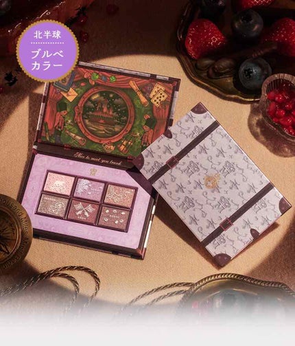 ナイストゥミーチュートランク/MAJOLICA MAJORCA/アイシャドウパレットを使ったクチコミ(4枚目)