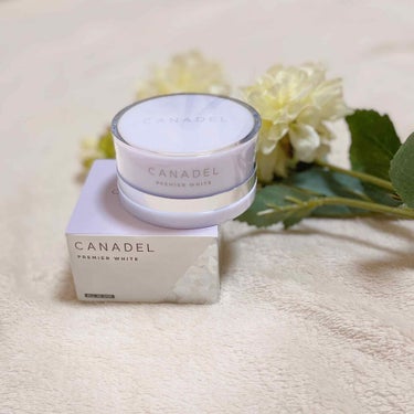 CANADEL プレミアホワイト オールインワンのクチコミ「🧸
医薬部外品の薬用美白オールインワンクリーム！

カナデル プレミアホワイト オールインワン.....」（1枚目）