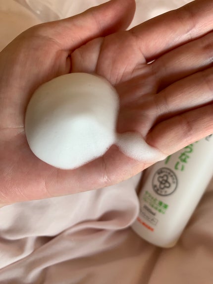 お湯のいらない泡シャンプー/ハビナース/ドライシャンプーを使ったクチコミ(2枚目)