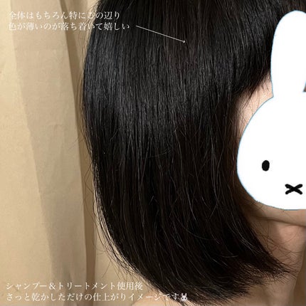 ブルーグロスシャンプー/トリートメント/rasica/市販シャンプーを使ったクチコミ(6枚目)