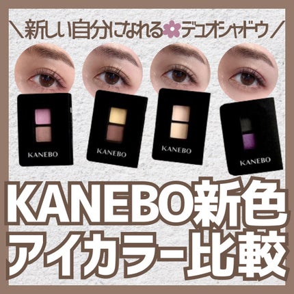 カネボウ アイカラーデュオ/KANEBO/アイシャドウパレットを使ったクチコミ(1枚目)