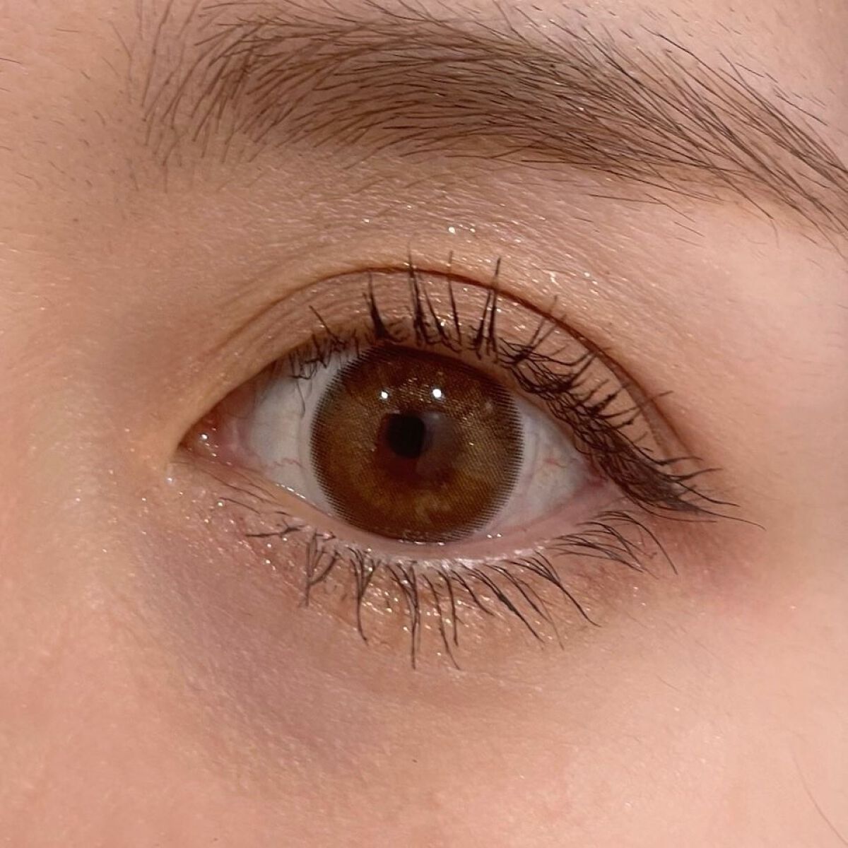 JeJe Bronze Pearl/Sisse Lens/カラーコンタクトレンズを使ったクチコミ（3枚目）