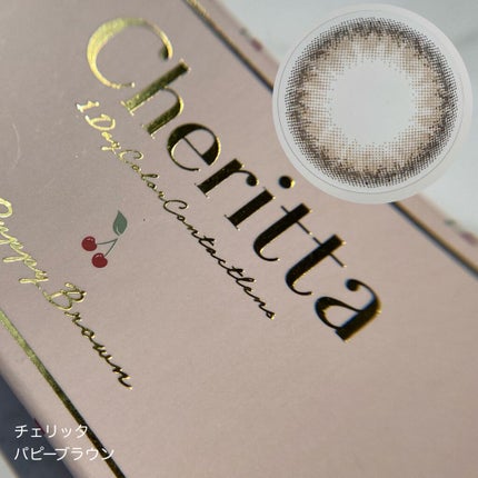 レ キャトル オンブル/CHANEL/アイシャドウパレットを使ったクチコミ(6枚目)