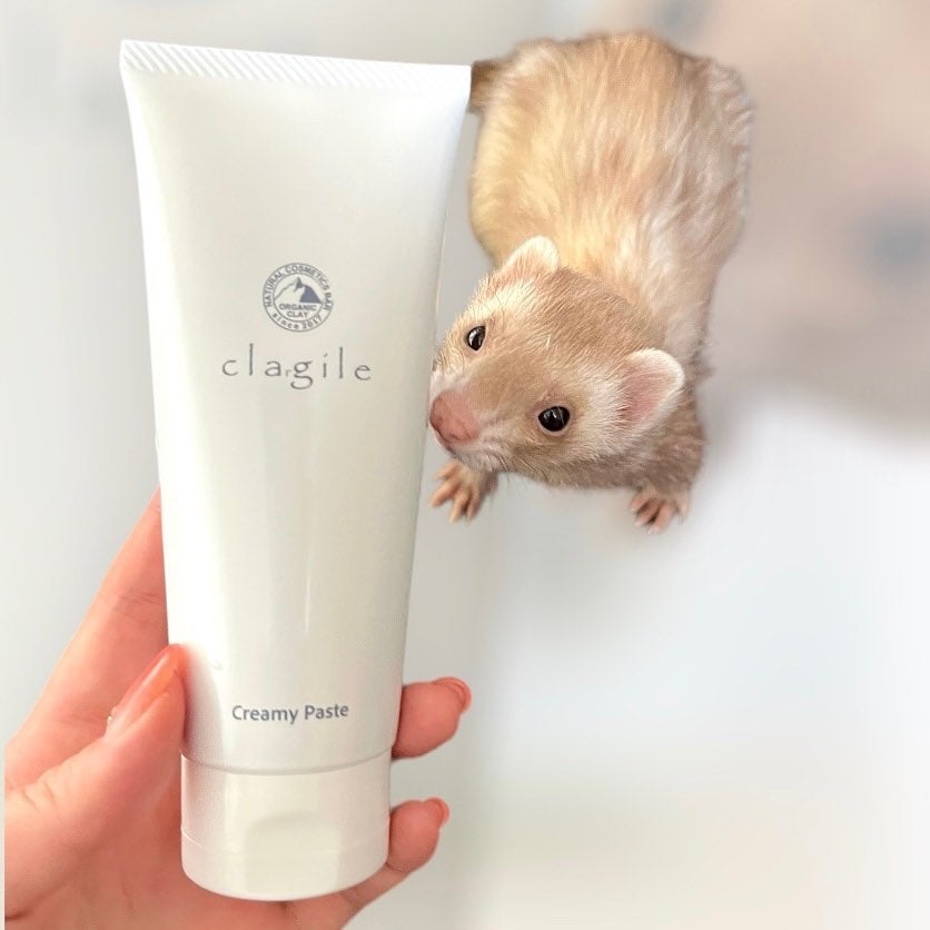 クレイル クリーミーペースト/clargile/その他洗顔料を使ったクチコミ(3枚目)