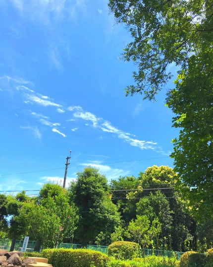 ANNA on LIPS 「寝れなかったあんなの独り言(^^)みなさんおはようございます☀..」(1枚目)