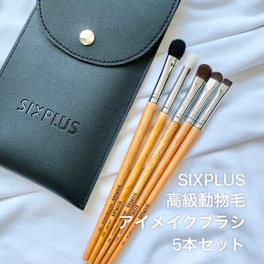 SIXPLUSアイメイクブラシ 5本セット高級動物毛 化粧ポーチ付き/SIXPLUS/メイクブラシを使ったクチコミ（1枚目）