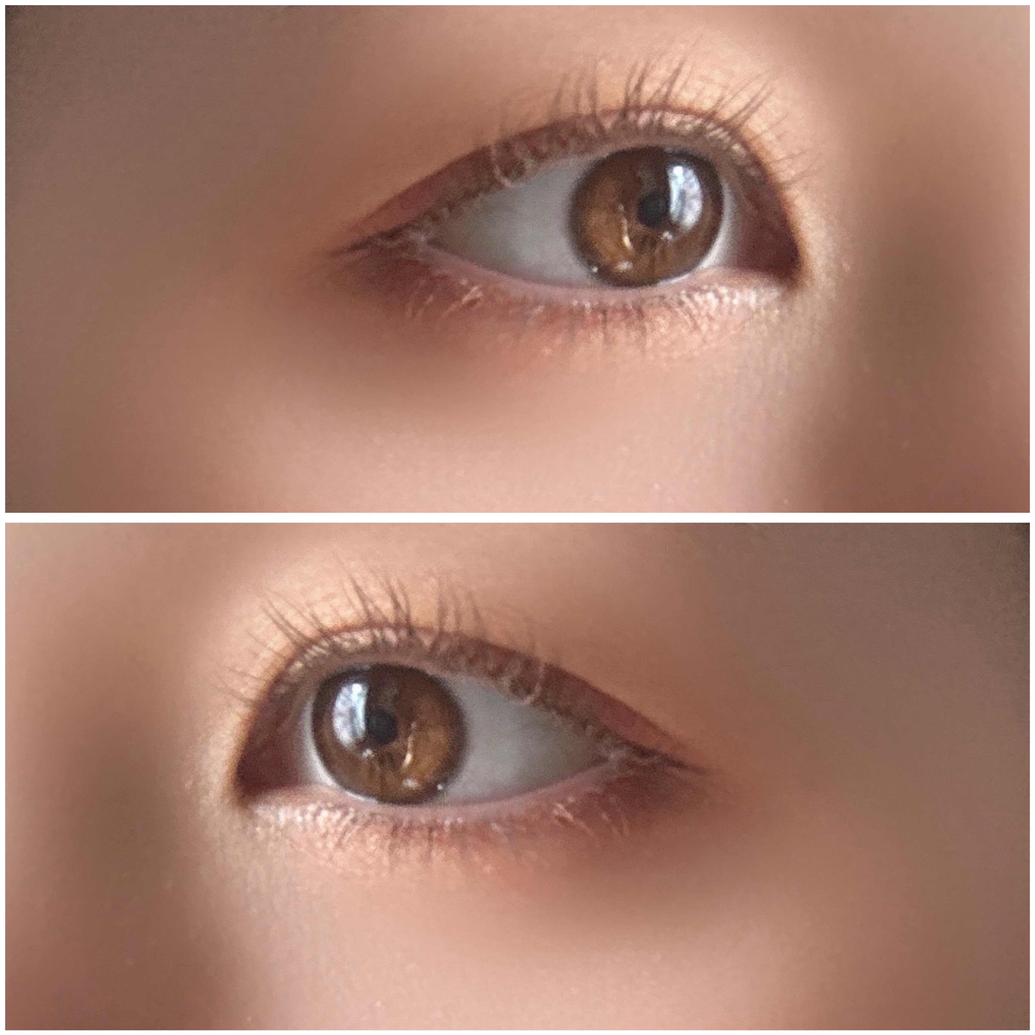 プロ アイ パレット/CLIO/アイシャドウパレットを使ったクチコミ（2枚目）