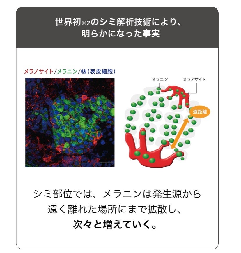 メラノショット W/ONE BY KOSE/美容液を使ったクチコミ(7枚目)