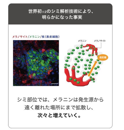 メラノショット W/ONE BY KOSE/美容液を使ったクチコミ(7枚目)