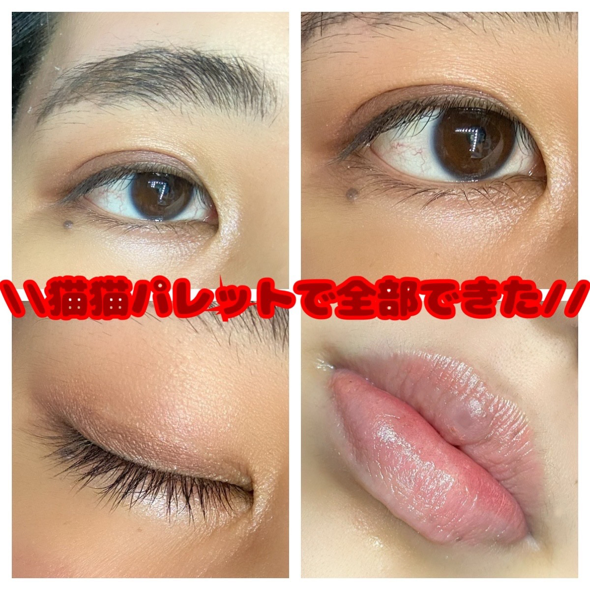 Mary’s 猫のチョコレートみたいなメイクアップパレットBOOK/宝島社/パウダーアイシャドウを使ったクチコミ（3枚目）