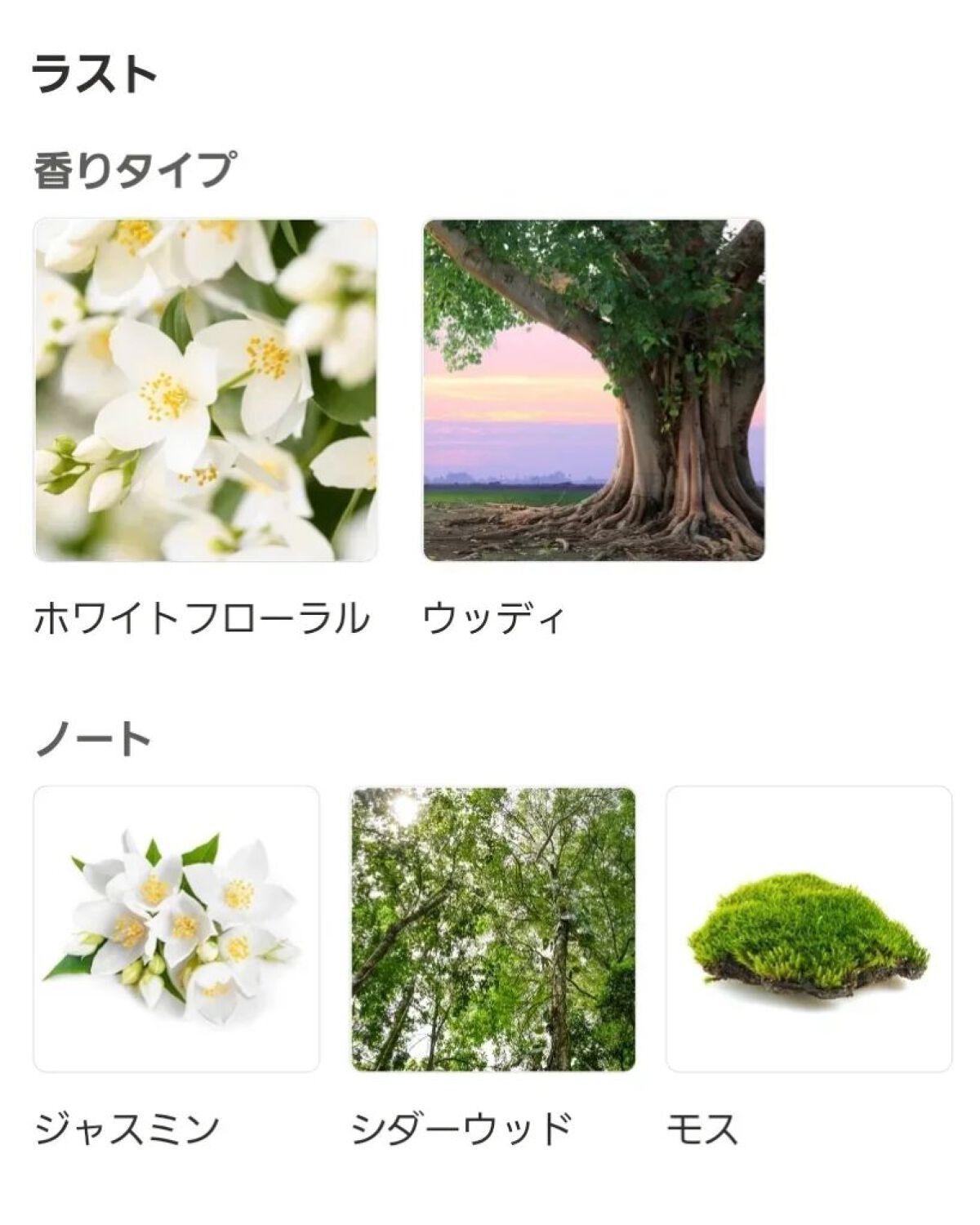 オードトワレ グリーンティー/KIMAMALabo/香水(レディース)を使ったクチコミ(6枚目)