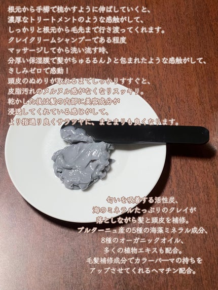 クレイクリームシャンプー(モイスト)/cocone/市販シャンプーを使ったクチコミ(2枚目)