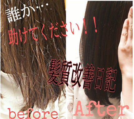 プラントオリジンオイル/D plus/ヘアオイルを使ったクチコミ(2枚目)