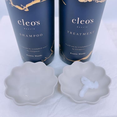 エクストラモイストシャンプー＆リペアトリートメント/Cleo's Beauté/シャンプー・コンディショナーを使ったクチコミ（4枚目）