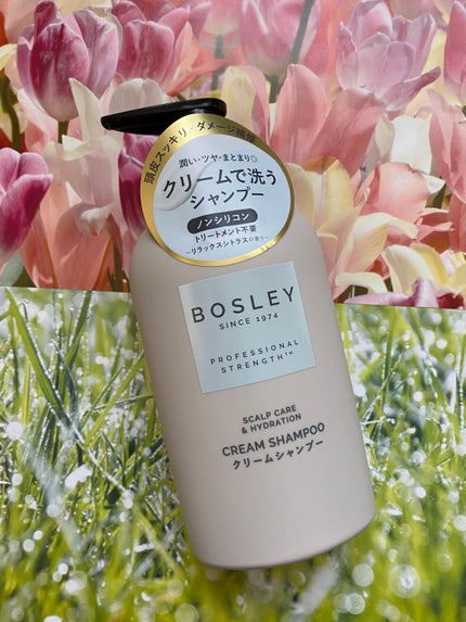 クリームシャンプー リラックスシトラスの香り/ボズレー/市販シャンプーを使ったクチコミ(1枚目)