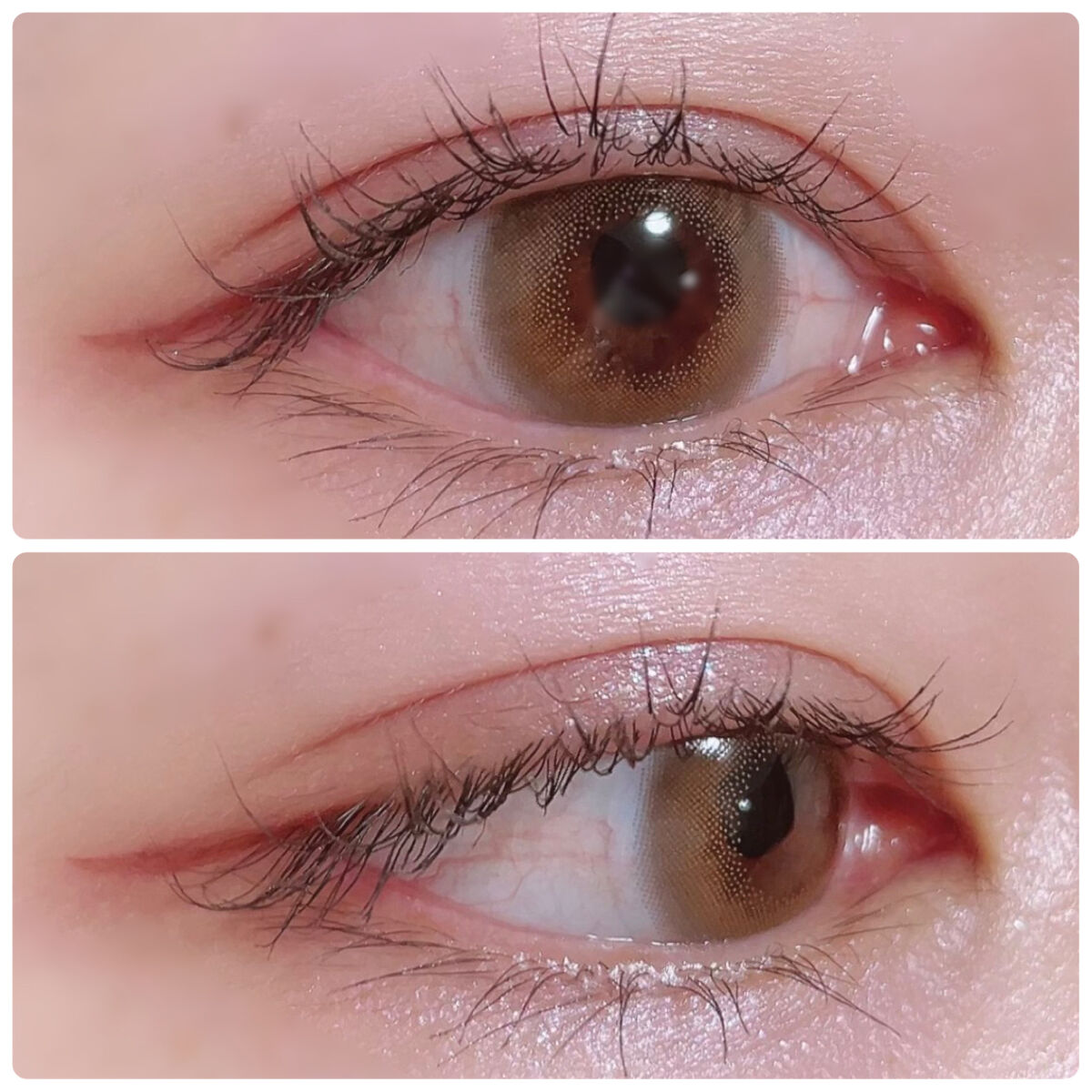 Cheritta 1day ベビーグレージュ(Baby Grege)/Cheritta/ワンデー（１DAY）カラコンを使ったクチコミ（3枚目）