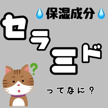 日本酒の化粧水 高保湿/菊正宗/化粧水を使ったクチコミ（1枚目）