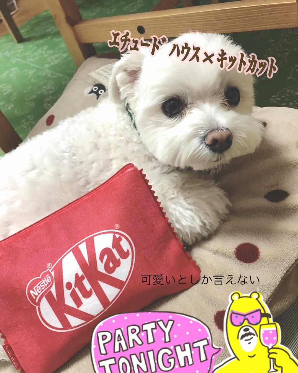 プレイカラーアイズ ミニ #キットカットオリジナル/ETUDE/アイシャドウパレットを使ったクチコミ（1枚目）