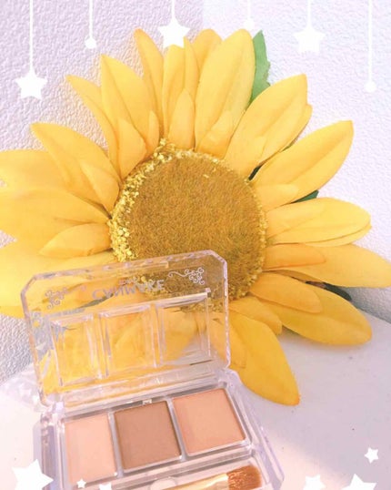 シークレットカラーアイズ/キャンメイク/アイシャドウパレットを使ったクチコミ(1枚目)