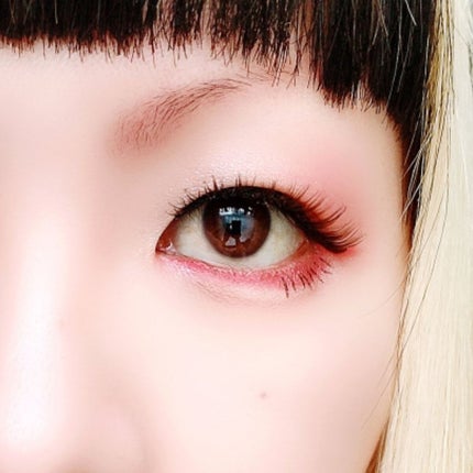 アニマルアイシャドウ(4シェード)/ZEESEA/アイシャドウパレットを使ったクチコミ(6枚目)