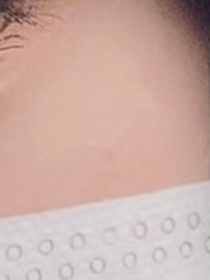 ノーセバム ミネラルパウダー N/innisfree/ルースパウダーを使ったクチコミ(1枚目)