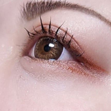 グリッターインパクトライナー/Visée/リキッドアイライナーを使ったクチコミ(6枚目)