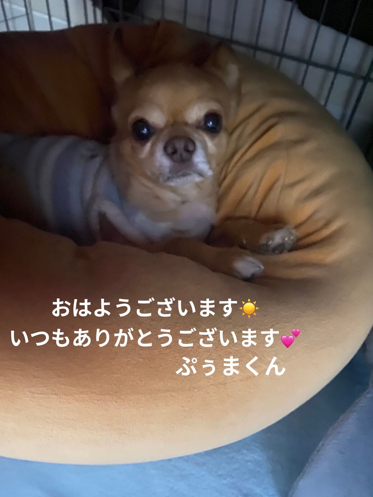 ル・ヌフ・ジバンシイ/GIVENCHY/アイシャドウパレットを使ったクチコミ(6枚目)