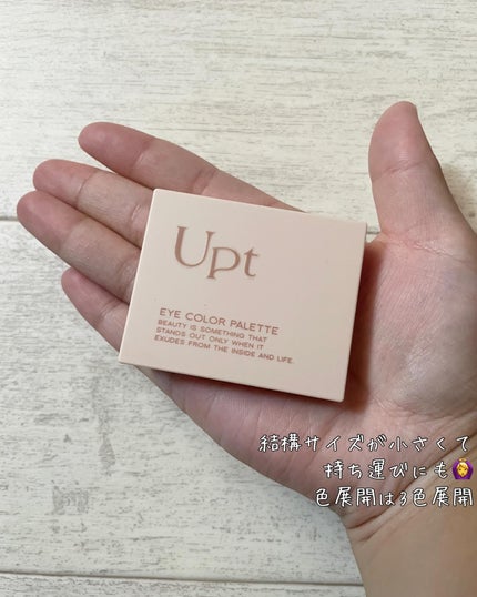 アイカラーパレット/Upt/アイシャドウパレットを使ったクチコミ(2枚目)