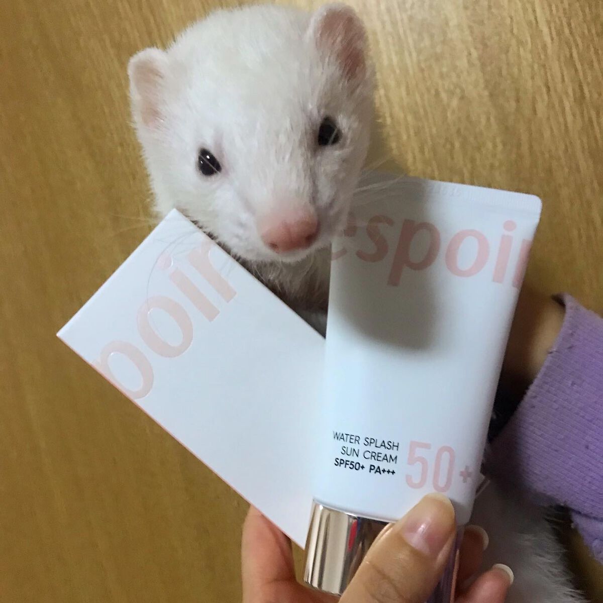 ウォータースプラッシュサンクリーム/espoir/日焼け止め・UVケアを使ったクチコミ（3枚目）