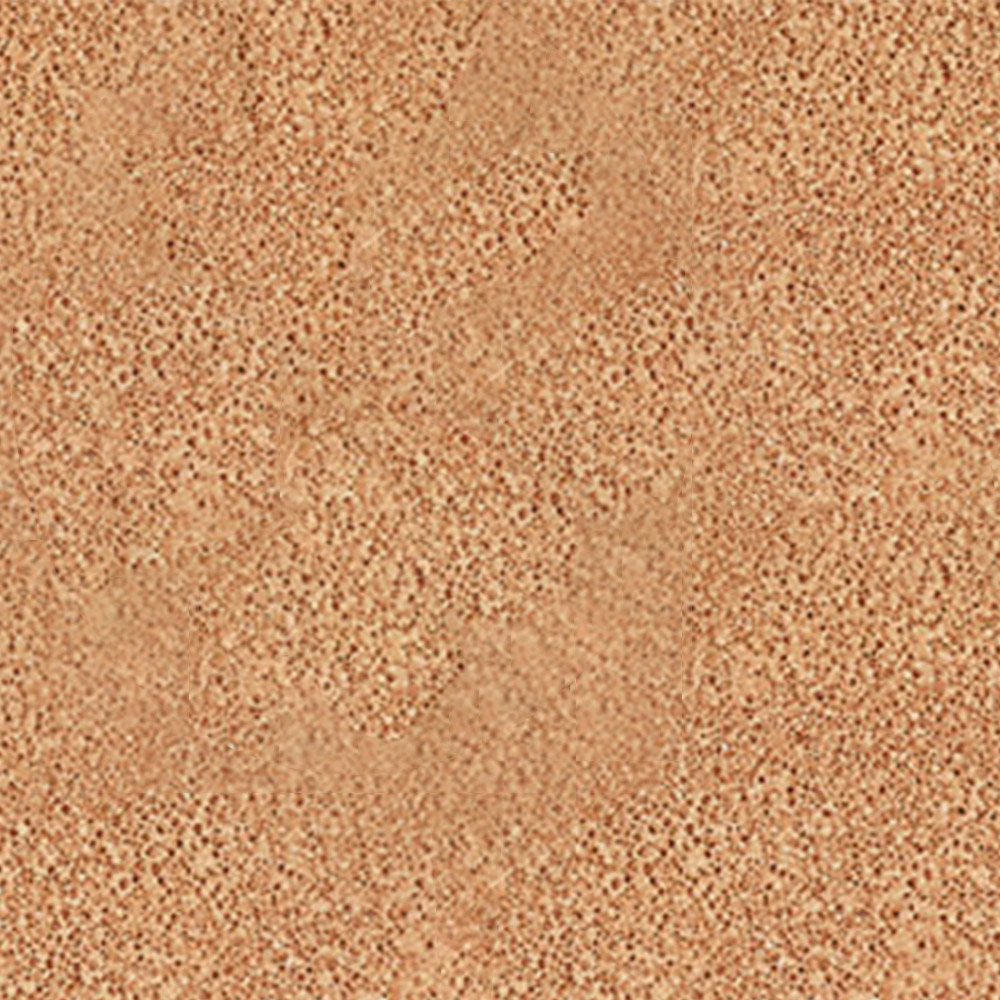 ジョンセンムル スキンヌーダーロングウェアクッション ミディアムディープ