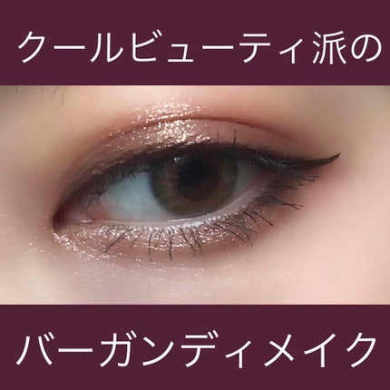パウダーチップ アイカラー/Visée/アイシャドウパレットを使ったクチコミ(1枚目)