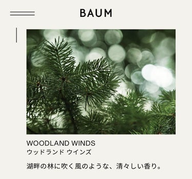 アロマティック ルームスプレー 1/BAUM/その他を使ったクチコミ（2枚目）