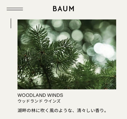 アロマティック ルームスプレー 1/BAUM/その他を使ったクチコミ(2枚目)