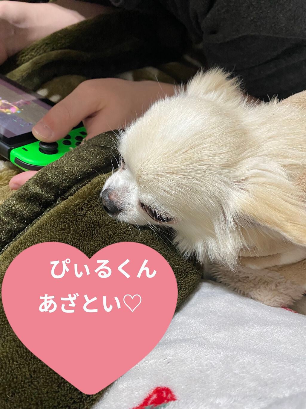 カラフルネイルズ/キャンメイク/マニキュアを使ったクチコミ(6枚目)