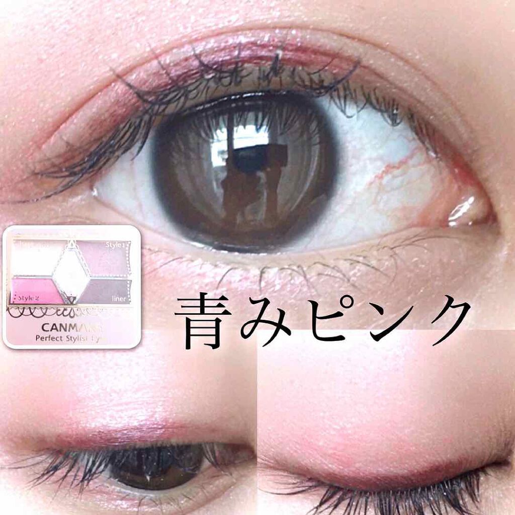 【旧品】パーフェクトスタイリストアイズ/キャンメイク/アイシャドウパレットを使ったクチコミ（1枚目）