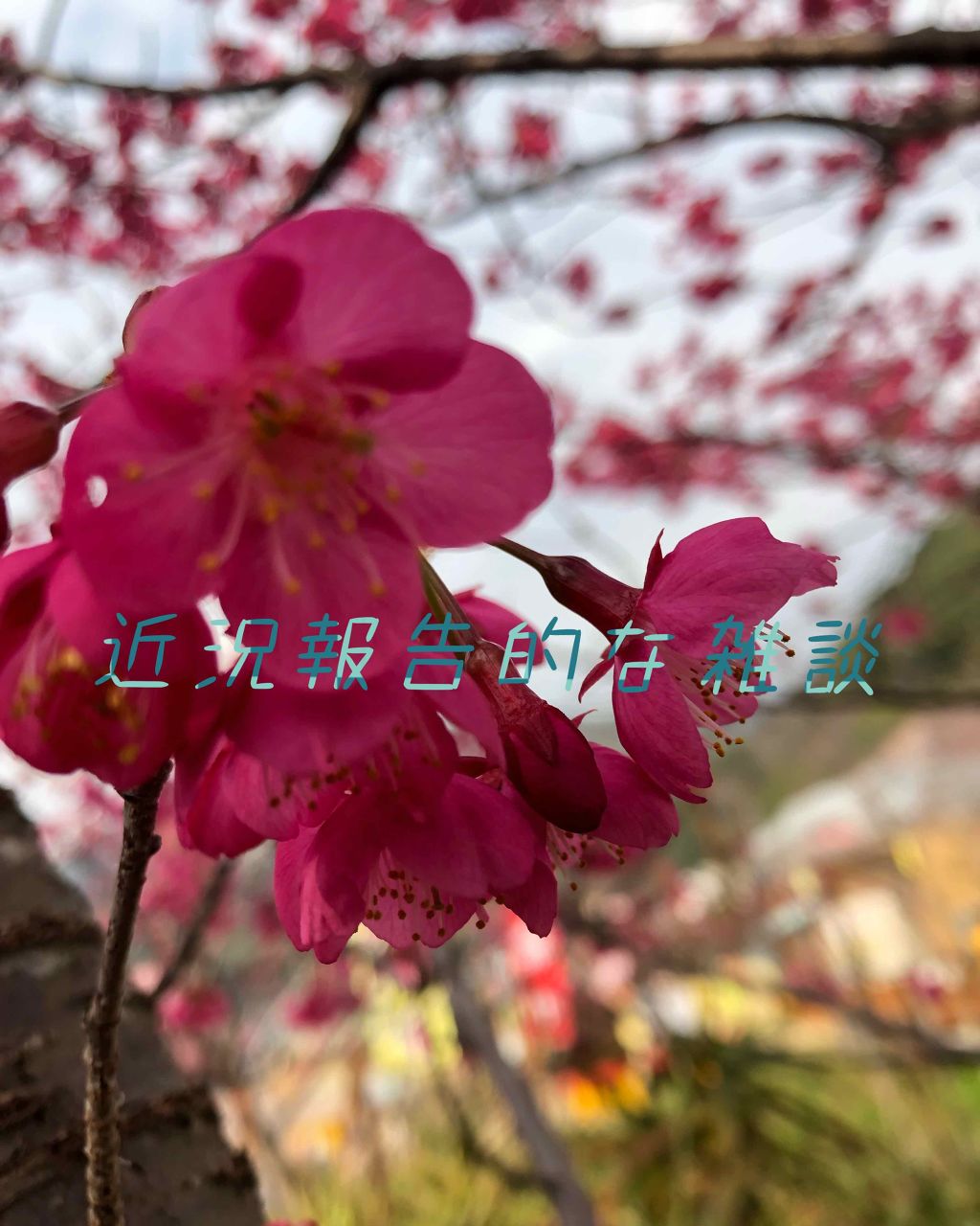 コージー on LIPS 「お久しぶりです4ヶ月ほどLIPS開いてはいましたが投稿意欲が低..」(1枚目)