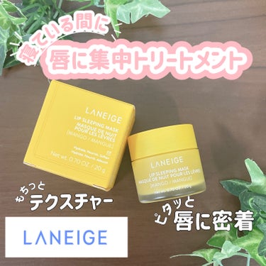 リップスリーピングマスク/LANEIGE/リップケア・リップクリームを使ったクチコミ（1枚目）